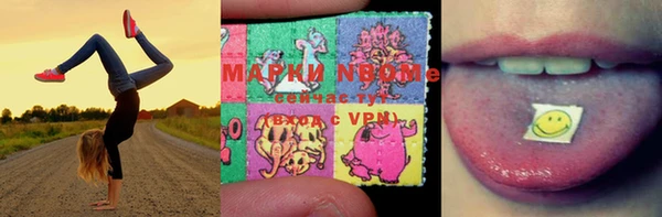 PSILOCYBIN Аркадак