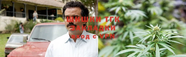 PSILOCYBIN Аркадак