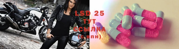 PSILOCYBIN Арсеньев