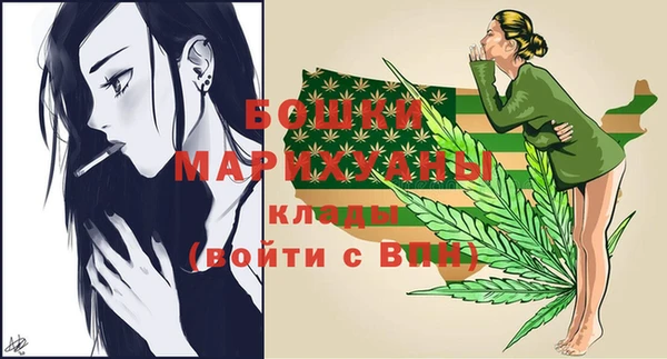 PSILOCYBIN Аркадак