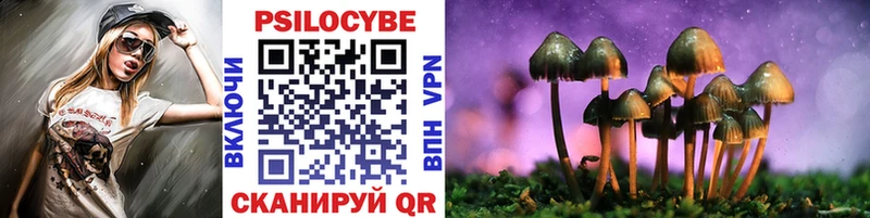 маркетплейс официальный сайт  Сухой Лог  Галлюциногенные грибы прущие грибы  цена  