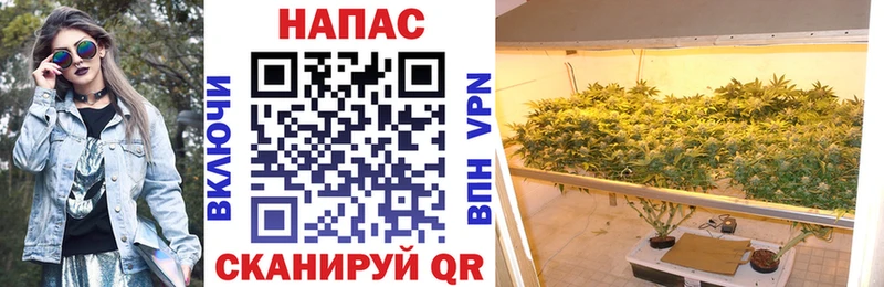 Конопля конопля  Сухой Лог 